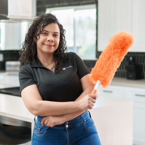 CompanyClean cleaner 2