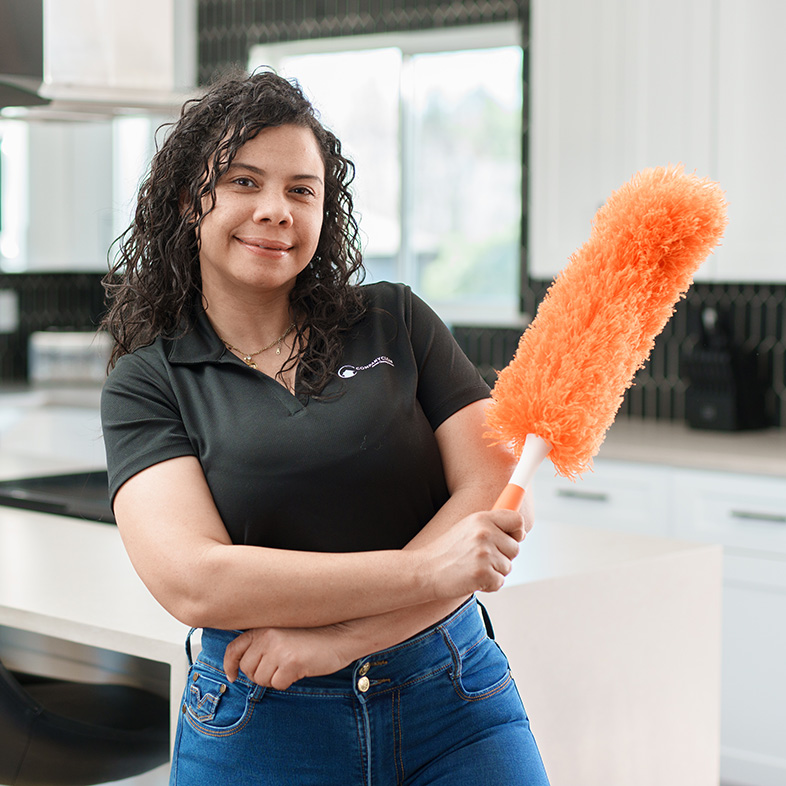 House Cleaner 3