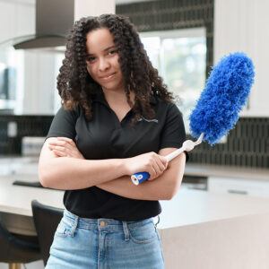 House Cleaner 2